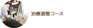 TERAの治療調整コース