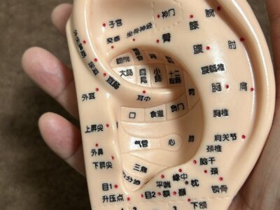 治療室TERAの4月のキャンペーンのご案内